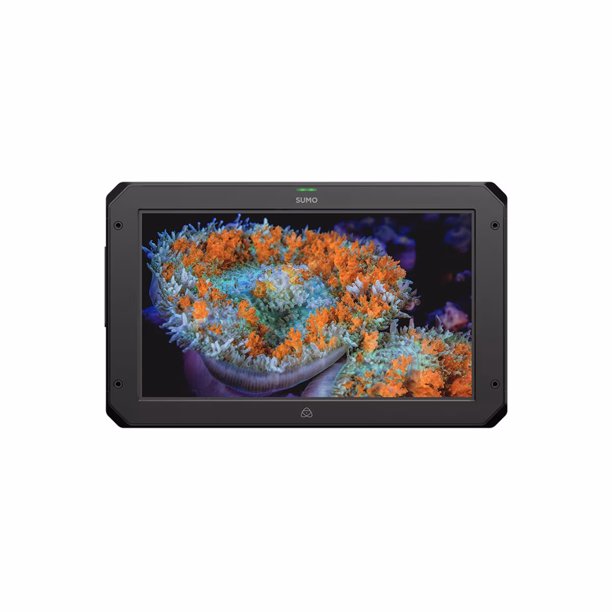 Monitor/Rekordér Atomos SUMO SE 19"